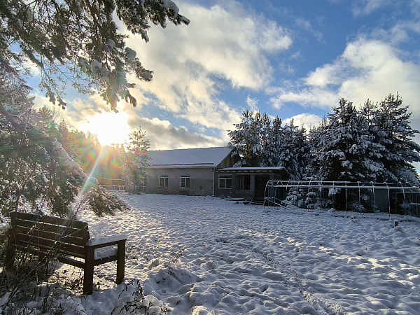 Дом в Митино