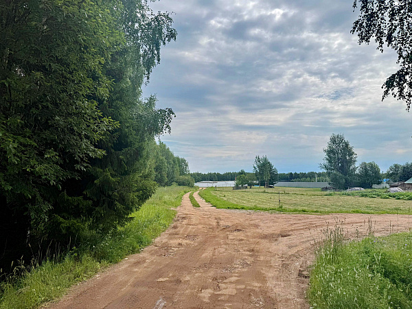 Земельный участок в д.Моржаны Земельный участок в д.Моржаны