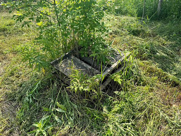 Дом в деревне Зяблец