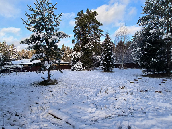 Дом в Митино