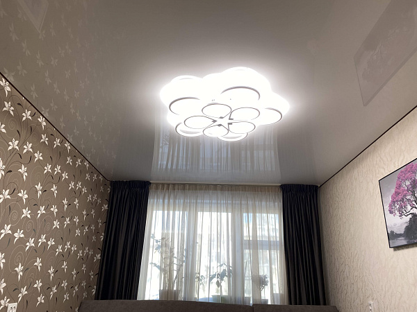 2-комнатная Московская, 173