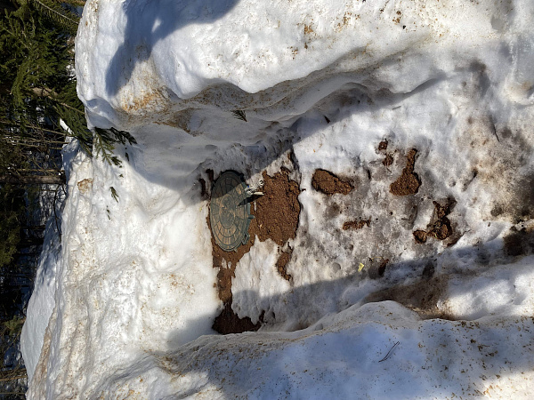 Дом в деревне Бабичи