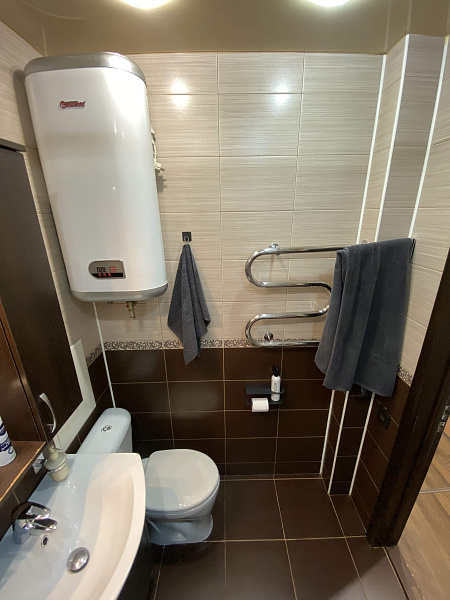 1-комнатная Широнинцев, 11